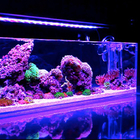 Custom Color 12mm Aquarium Acrylic Sheets Crystal Plexiglass Pmma Sheets