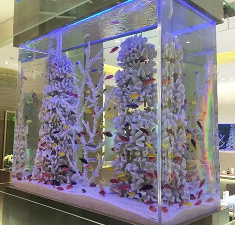 Verzorging van het aquarium met een hoge transmissiekracht