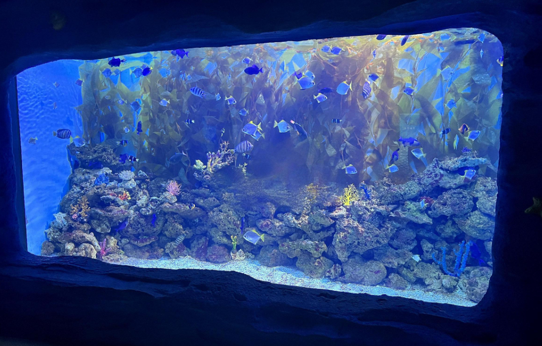 Zware acrylplaat met dik gegoten acrylplaat Groot transparant paneel voor aquarium Oceanarium Tunnel Onderwater bekijkvensters