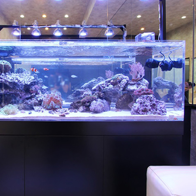 92% Transmissie Duidelijk Plastic Aquarium Acrylplaat 1220*2440mm